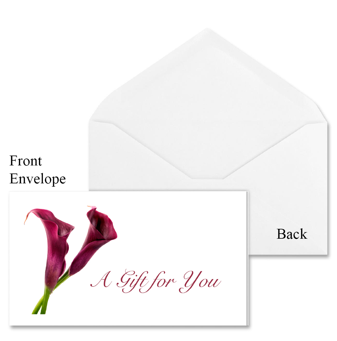 Gift_certificate_envelope11